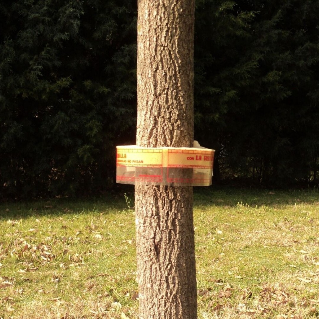 barrera-ecologica-hormiflex-espuma