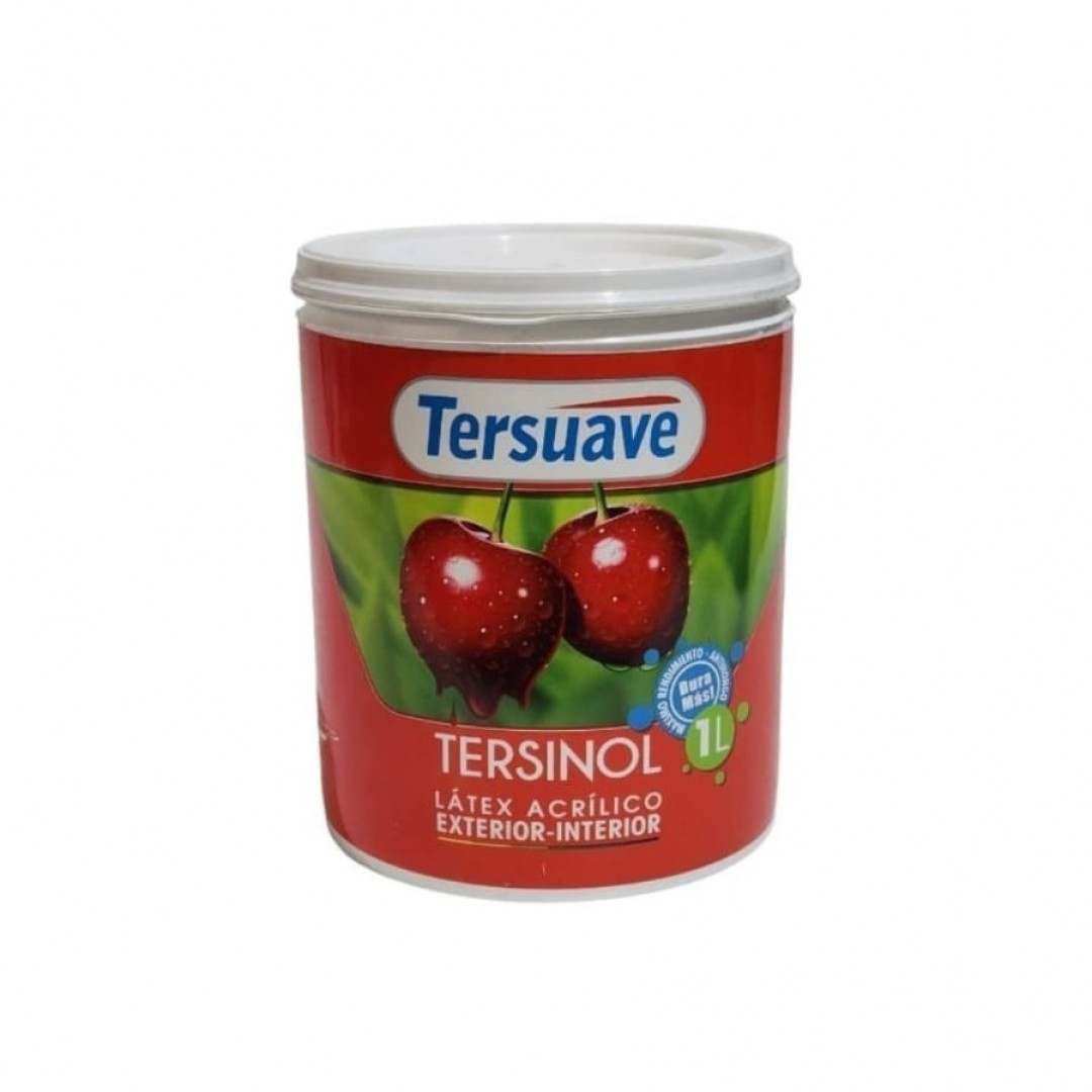 ternisol-latex-exterior-interior-4-lt